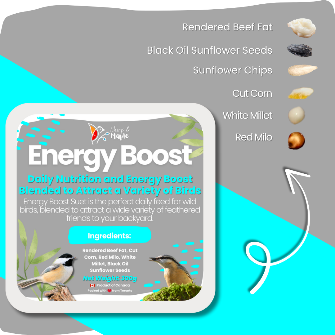 Energy Boost Suet
