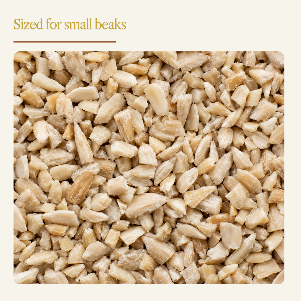 Sunflower Chips for Wild Birds – Shell-Free Black Oil Sunflower Kernels