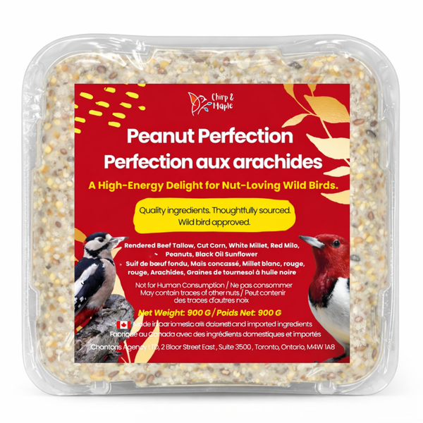 Peanut Perfection Suet Pack