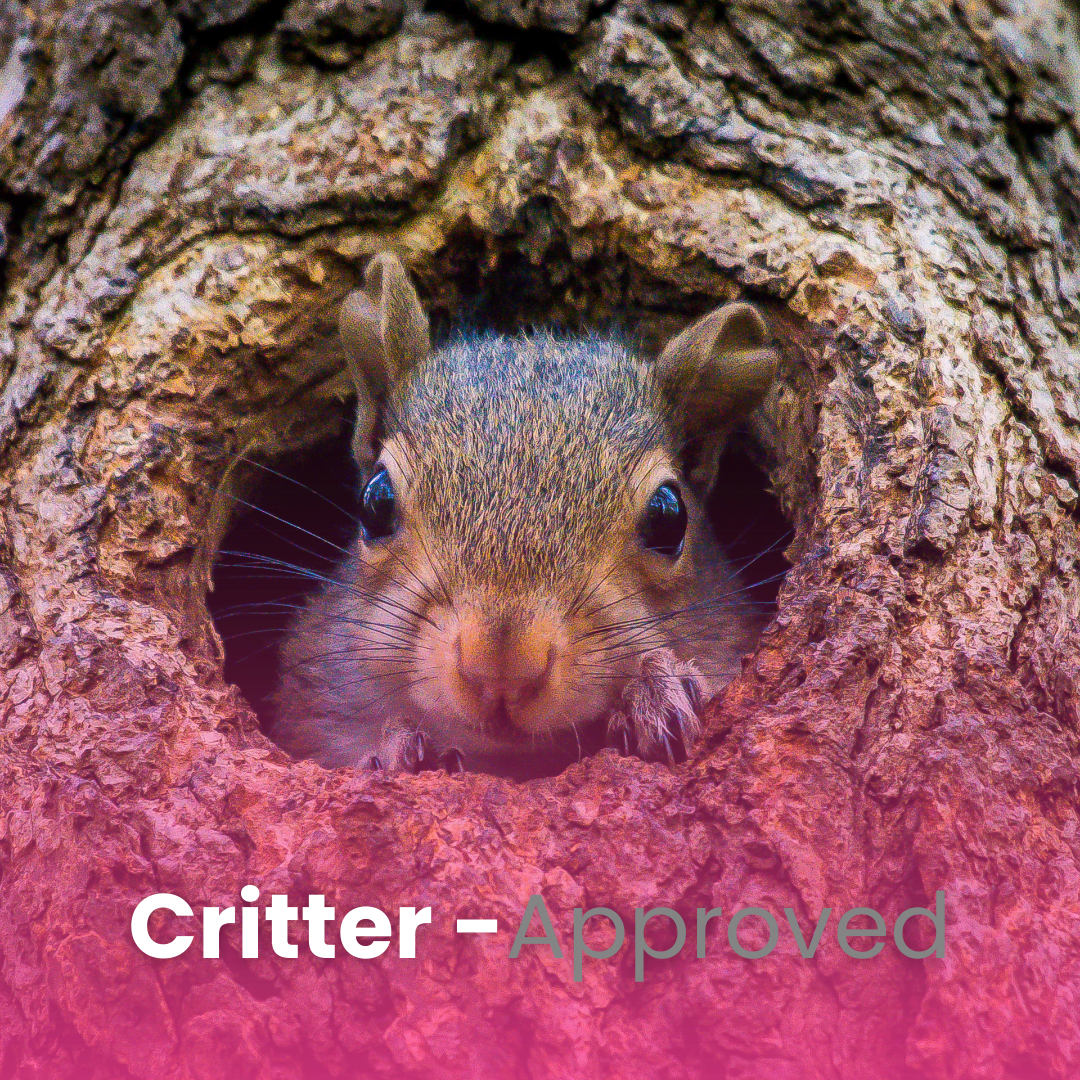 Critter Cuisine