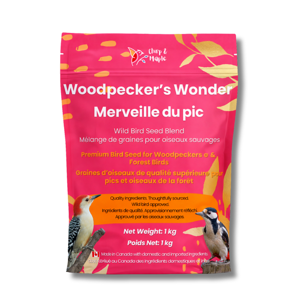 Woodpecker’s Wonder