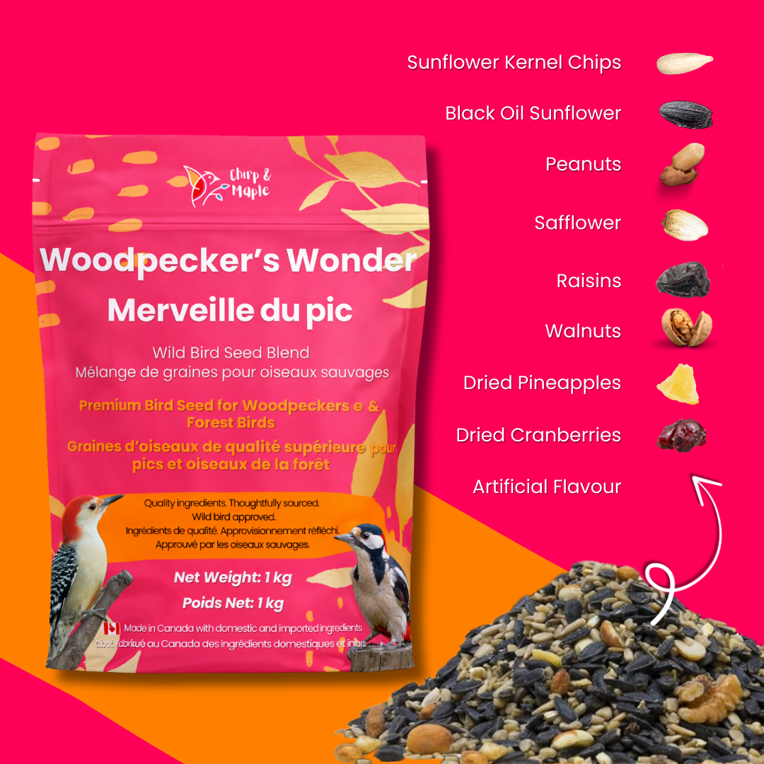 Woodpecker’s Wonder