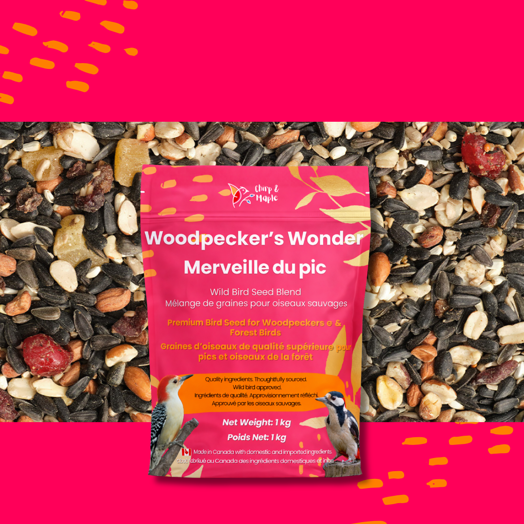 Woodpecker’s Wonder