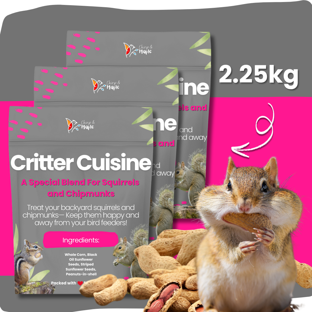 Critter Cuisine