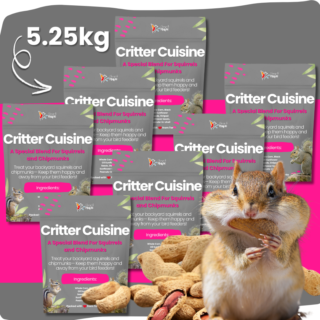 Critter Cuisine