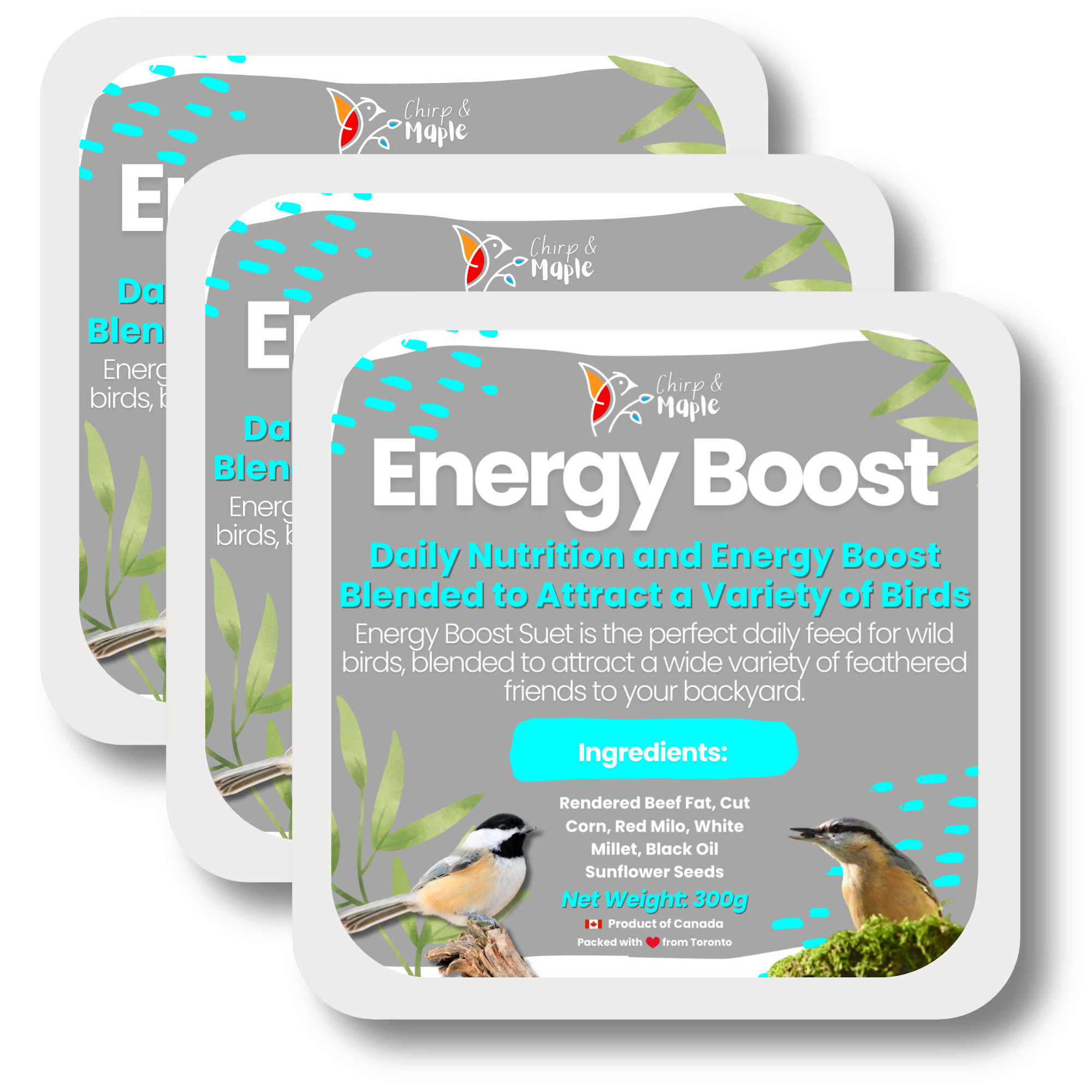 Energy Boost Suet
