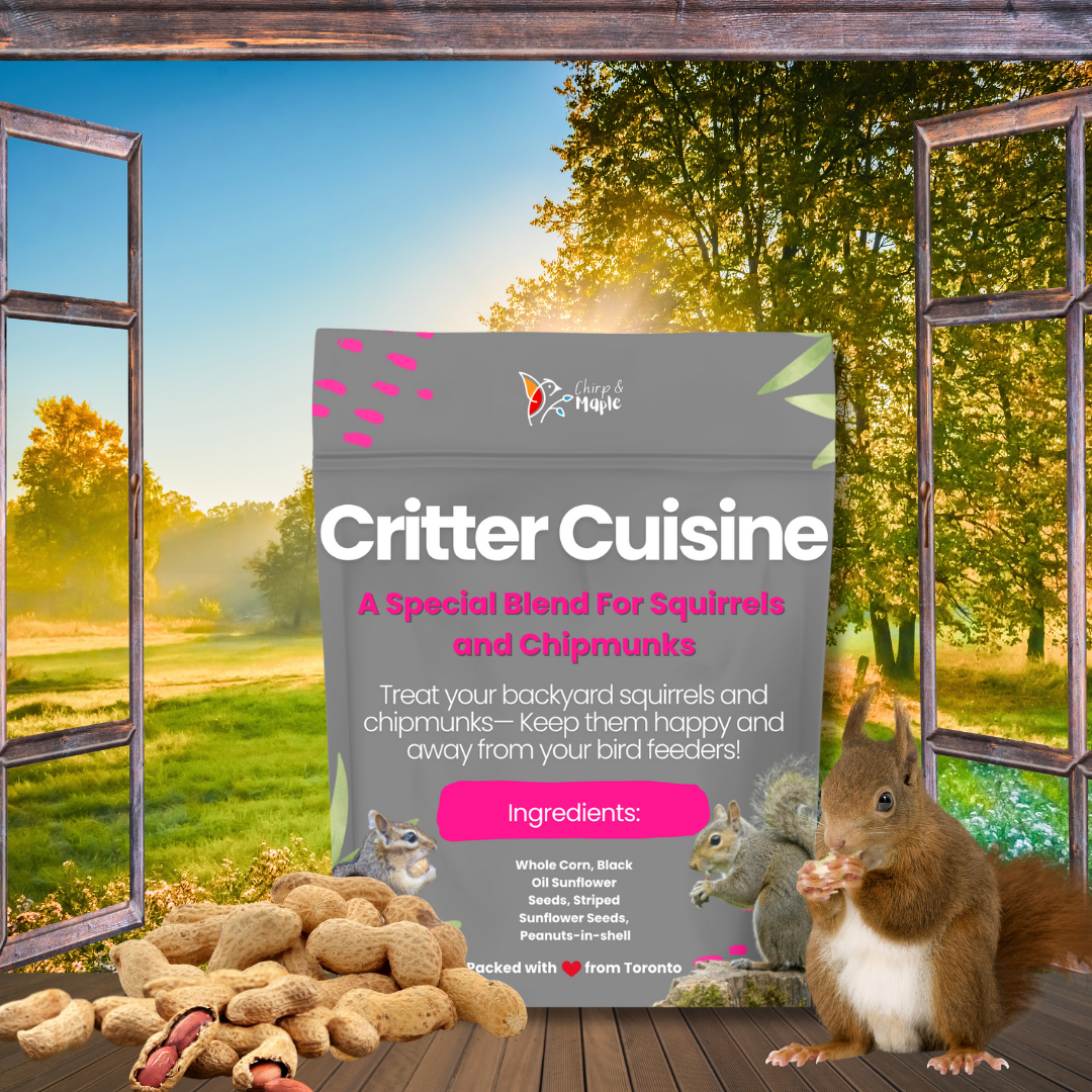Critter Cuisine