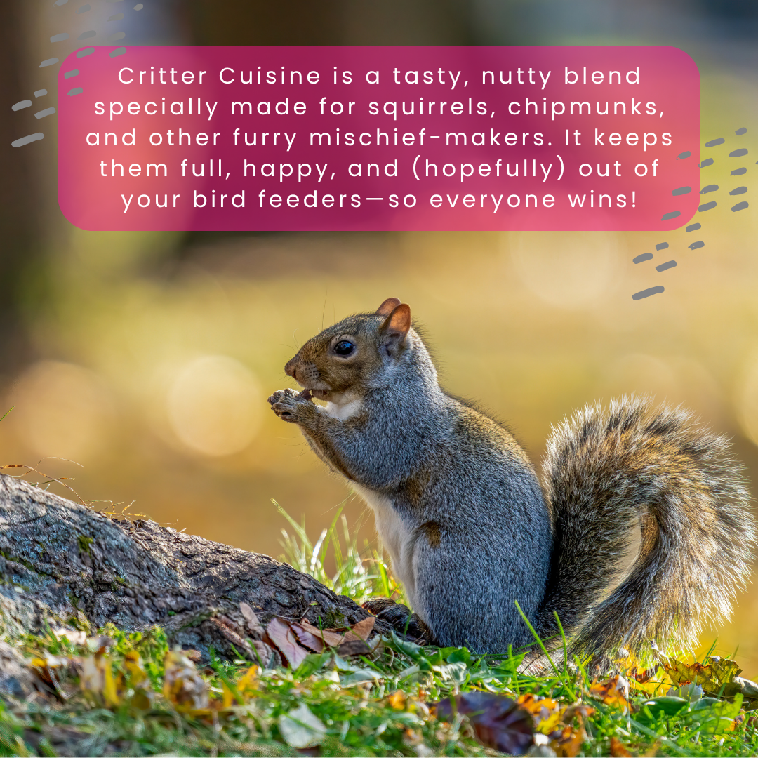 Critter Cuisine