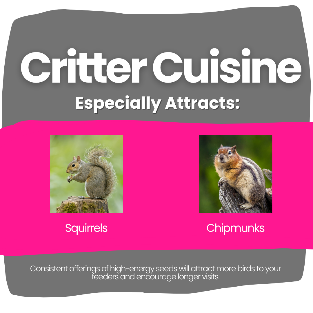 Critter Cuisine