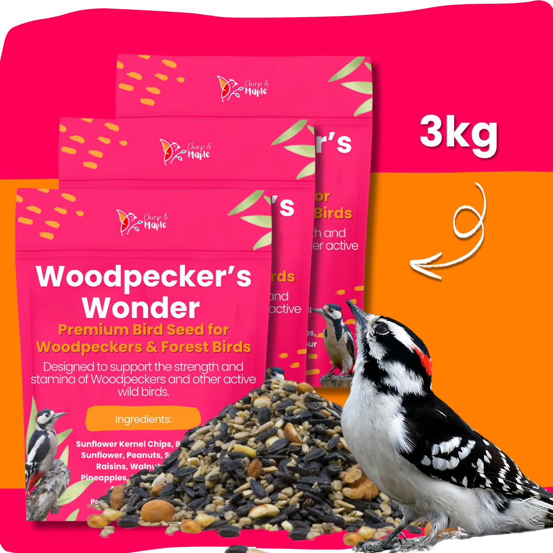 Woodpecker’s Wonder