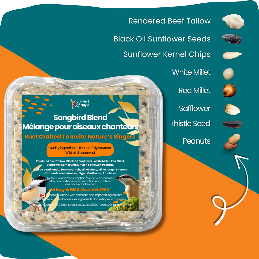 Songbird Blend Suet Pack