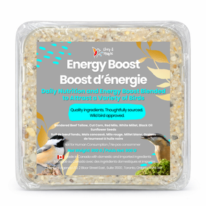 Energy Boost Suet Cake – Corn, Millet & Sunflower Seeds for Wild Birds