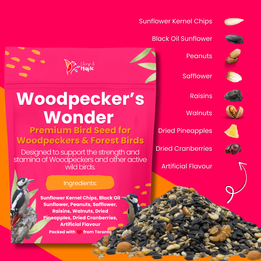 Woodpecker’s Wonder