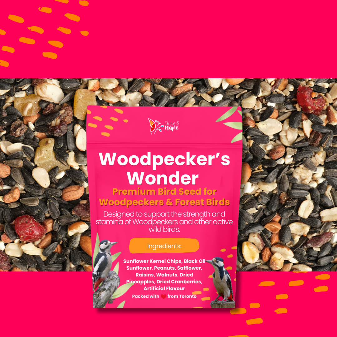 Woodpecker’s Wonder