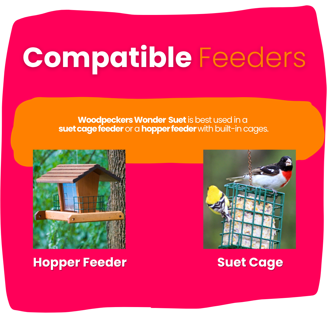 Woodpecker’s Wonder Suet