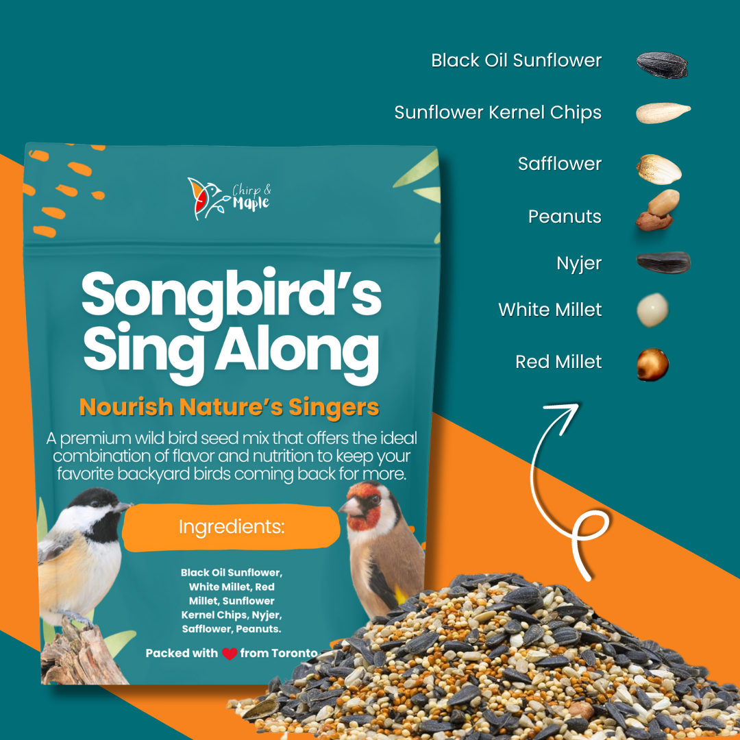 Songbird’s Sing Along