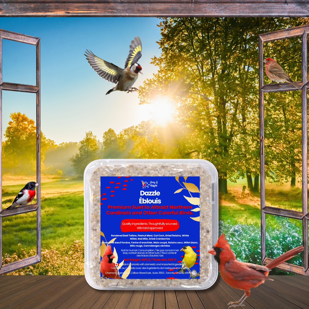 Dazzle Suet Pack