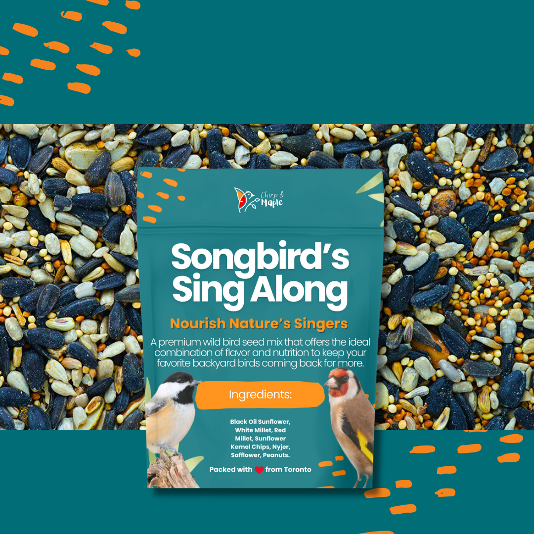 Songbird’s Sing Along