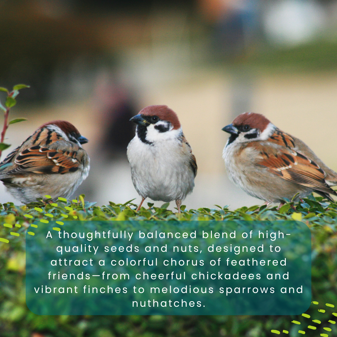 Songbird’s Sing Along