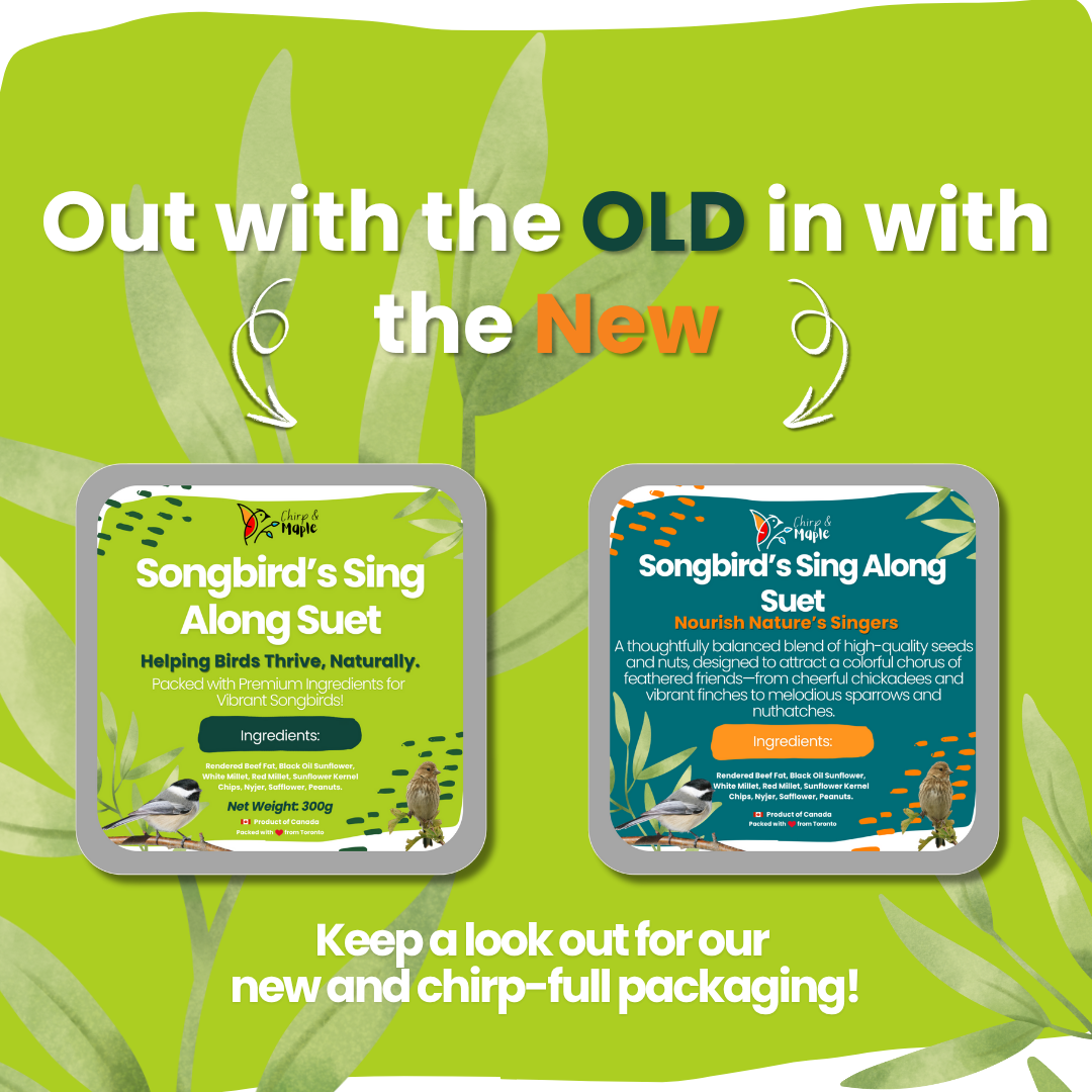 Songbird’s Sing Along Suet