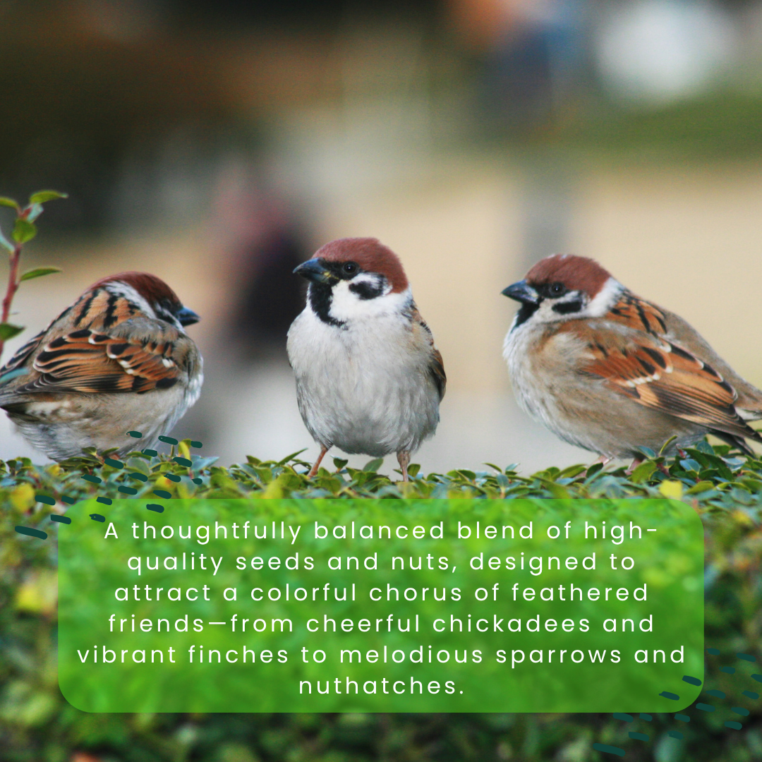 Songbird’s Sing Along Suet