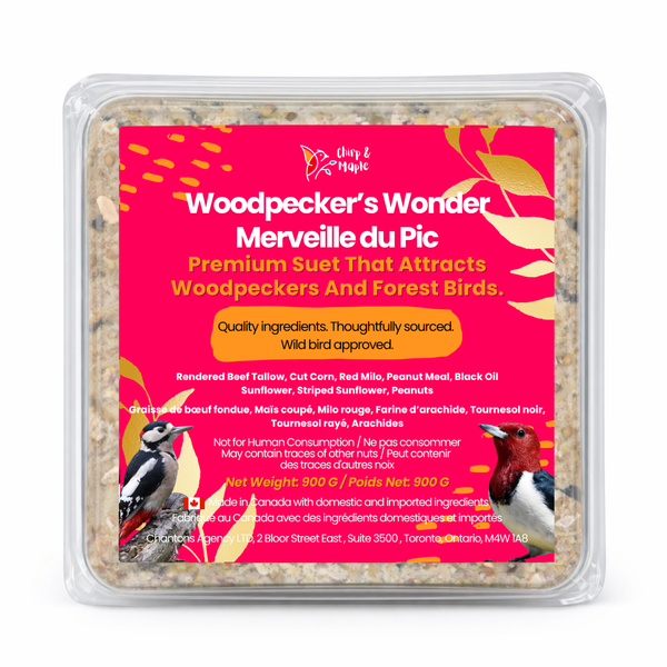 Woodpecker’s Wonder Suet Pack