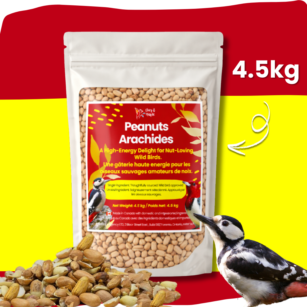 Peanuts