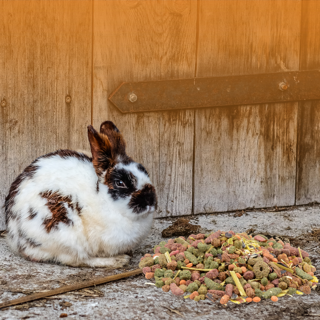 Rabbit Complete Nutrition