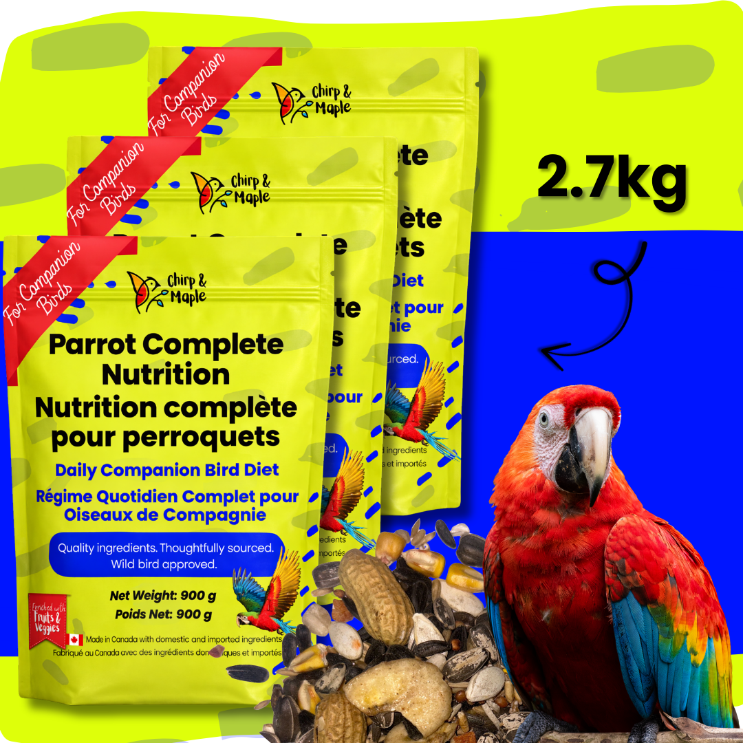 Parrot Food – Complete Daily Nutrition