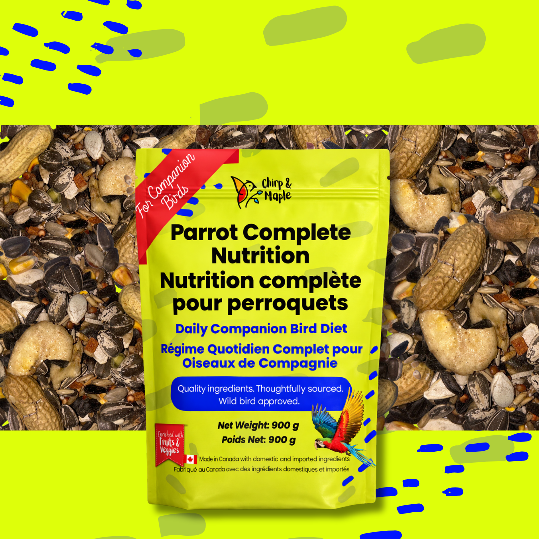 Parrot Food – Complete Daily Nutrition