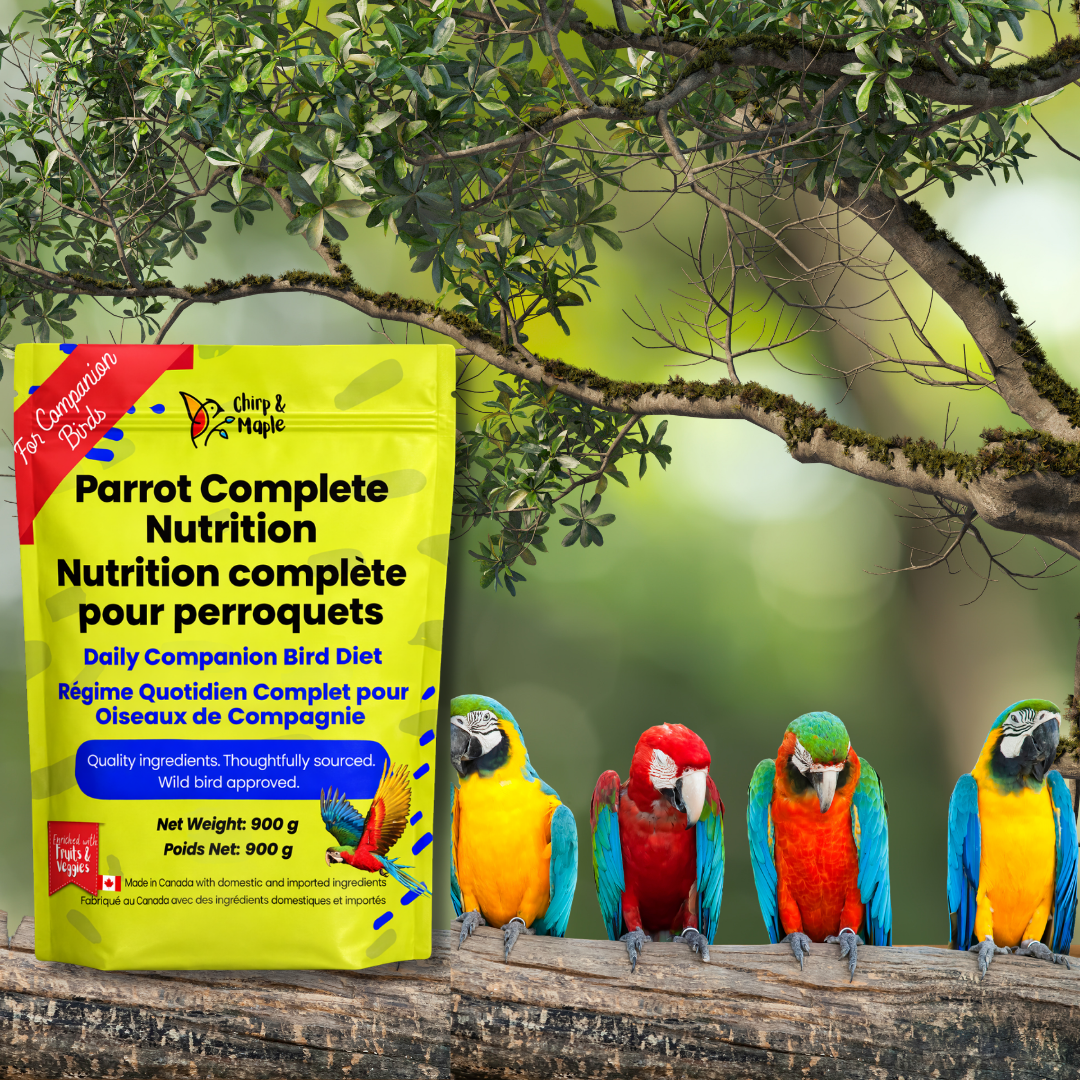 Parrot Food – Complete Daily Nutrition