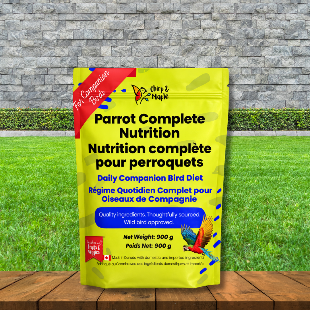 Parrot Food – Complete Daily Nutrition