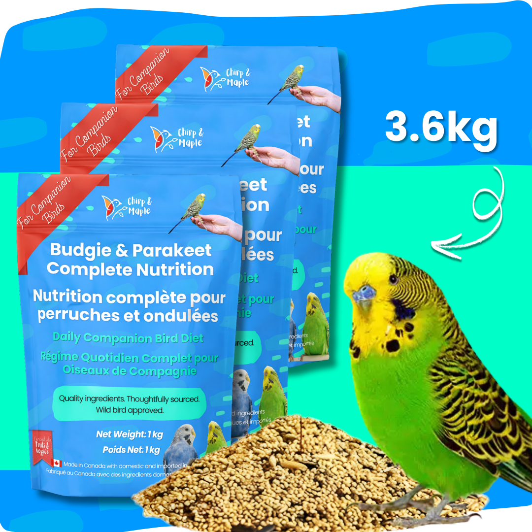 Budgie & Parakeet Food – Complete Nutrition
