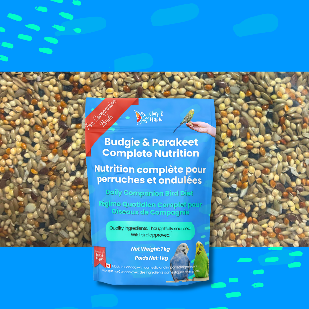 Budgie & Parakeet Food – Complete Nutrition