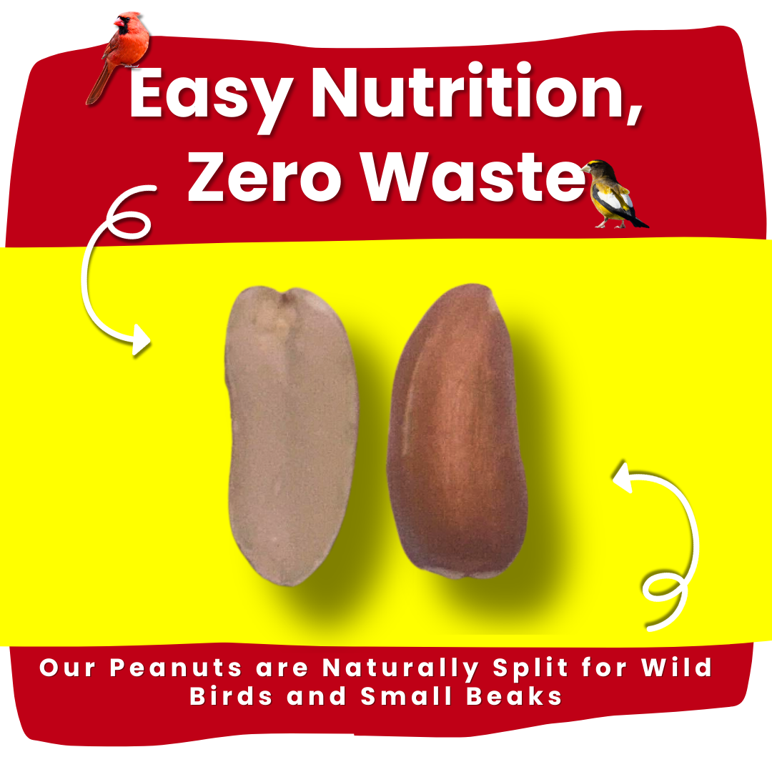 Peanuts