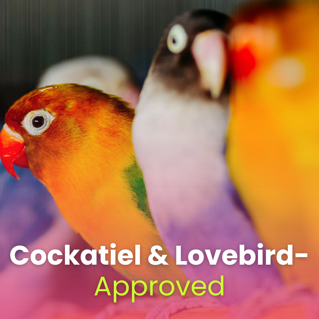 Cockatiel & Lovebird Complete Nutrition