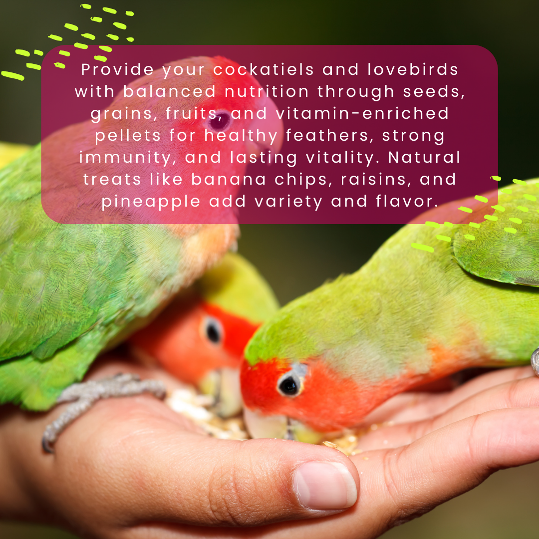 Cockatiel & Lovebird Complete Nutrition