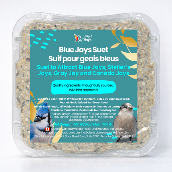 Blue Jays Suet Pack