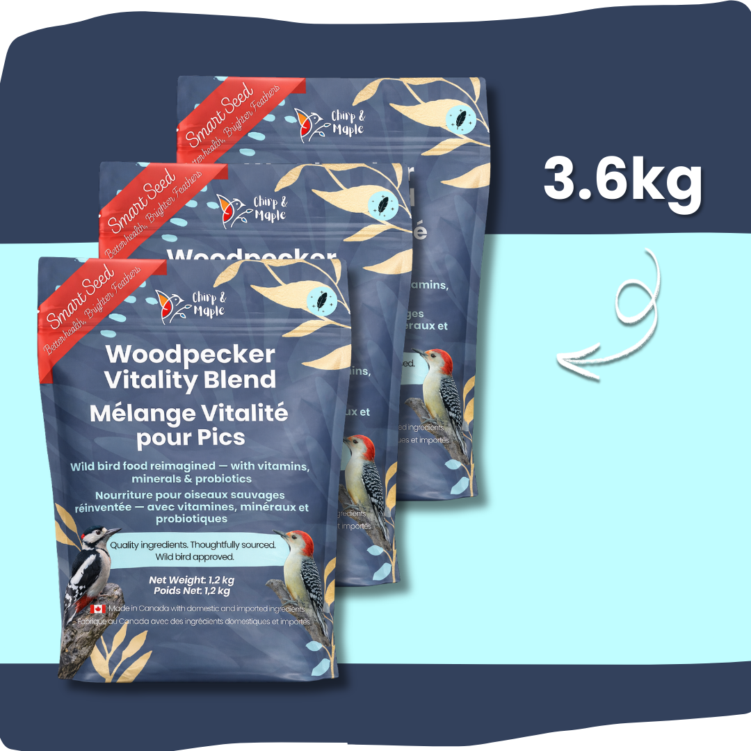 Woodpecker Vitality