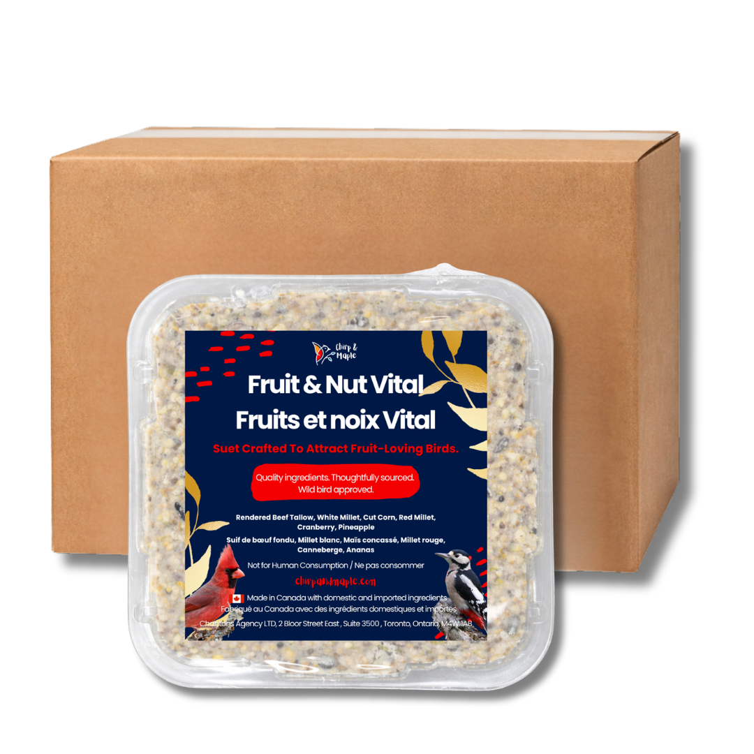 Fruit & Nut Suet Pack