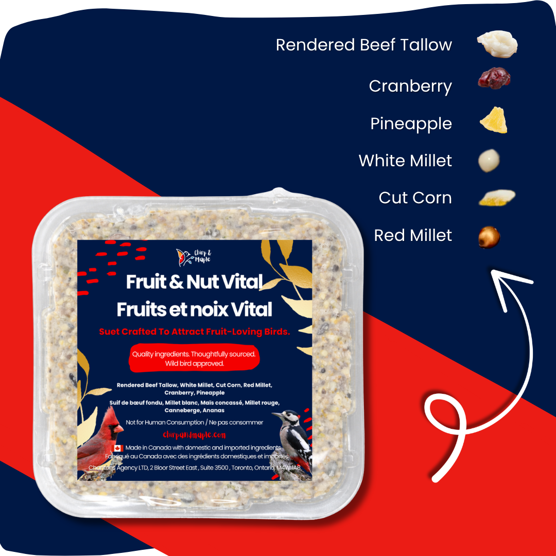 Fruit & Nut Suet Pack