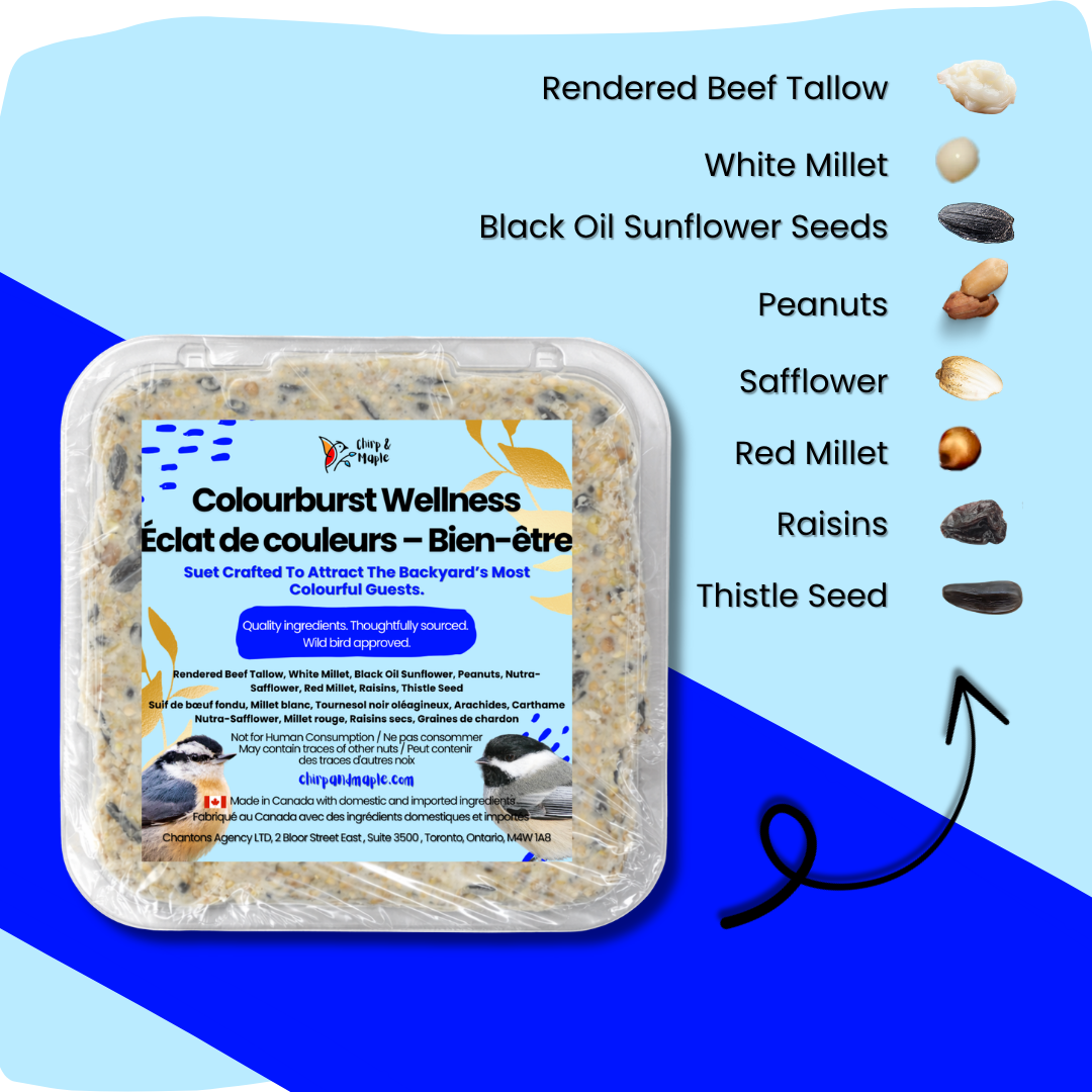 Colourburst Wellness Suet Pack