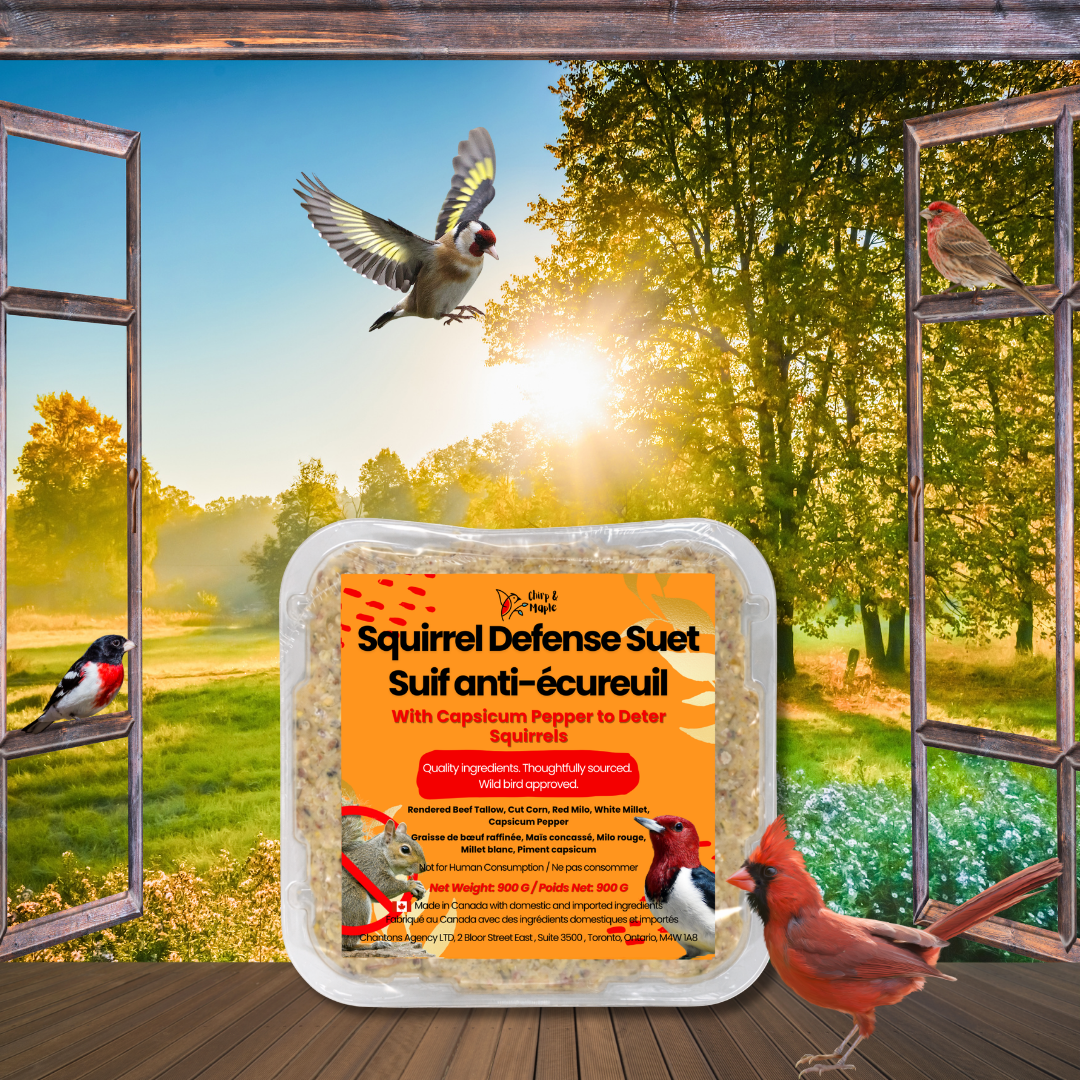 Squirrel Defense Suet