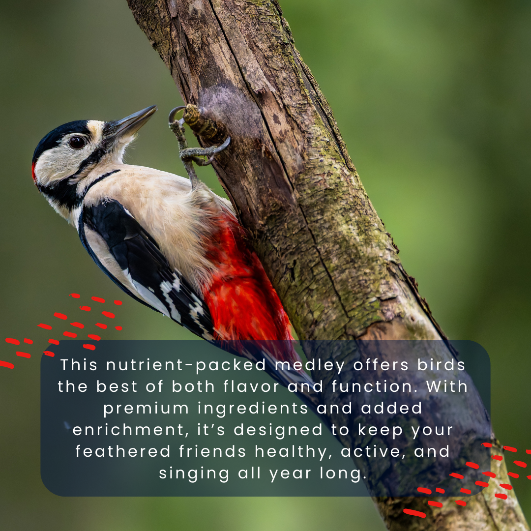 Fruit & Nut Vitality