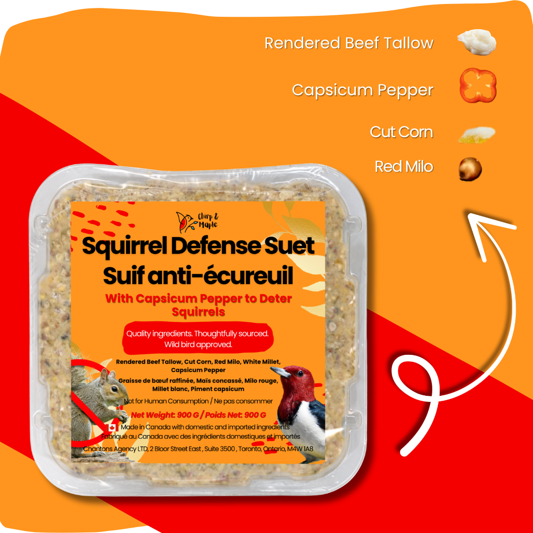 Squirrel Defense Suet