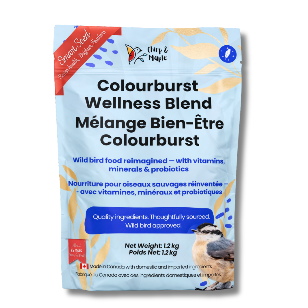 Colourburst Wellness