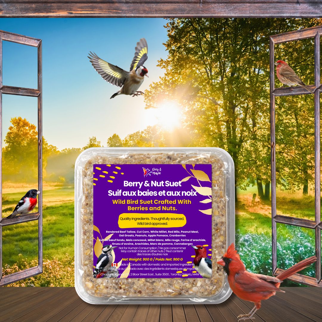 Berry & Nut Suet Pack