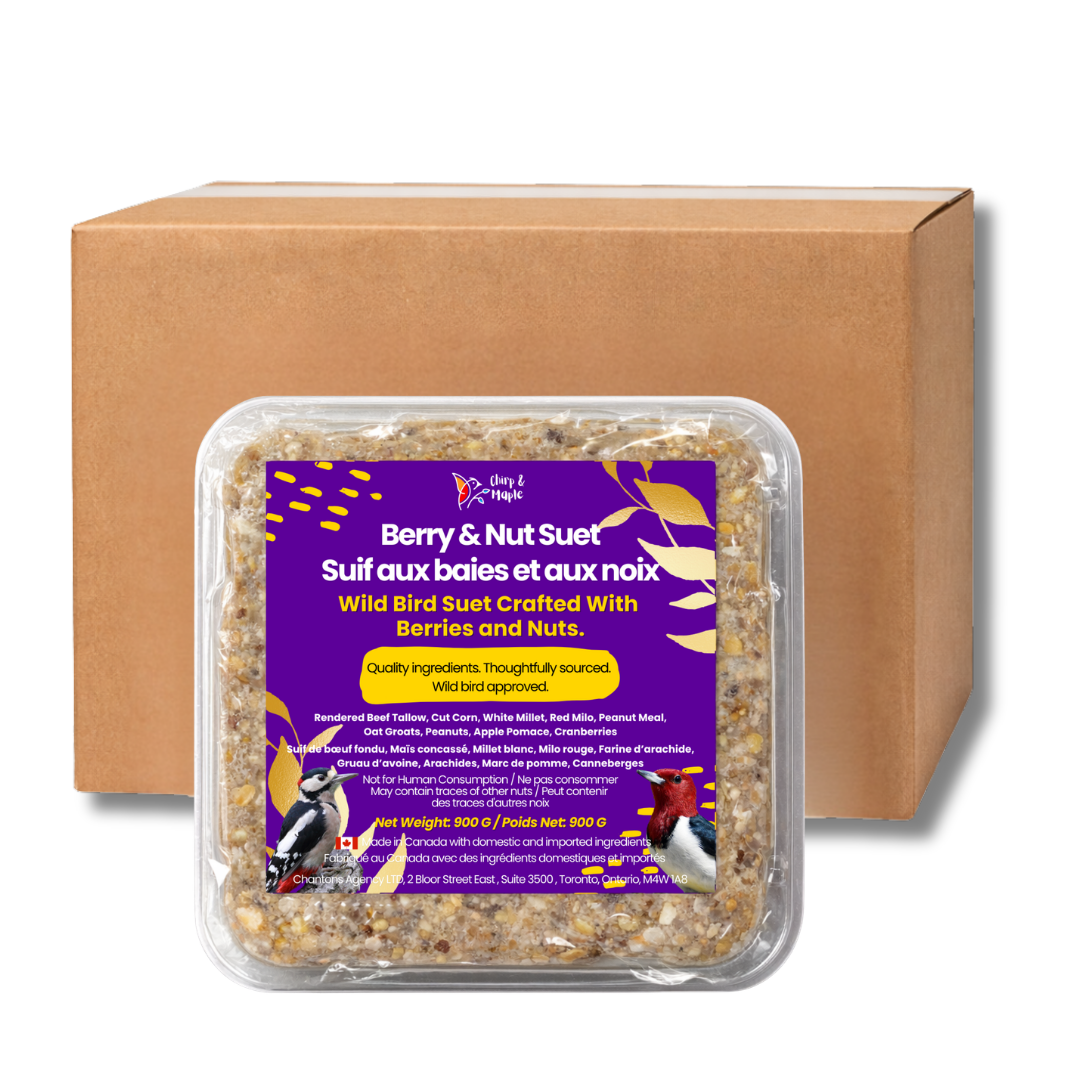 Berry & Nut Suet Pack