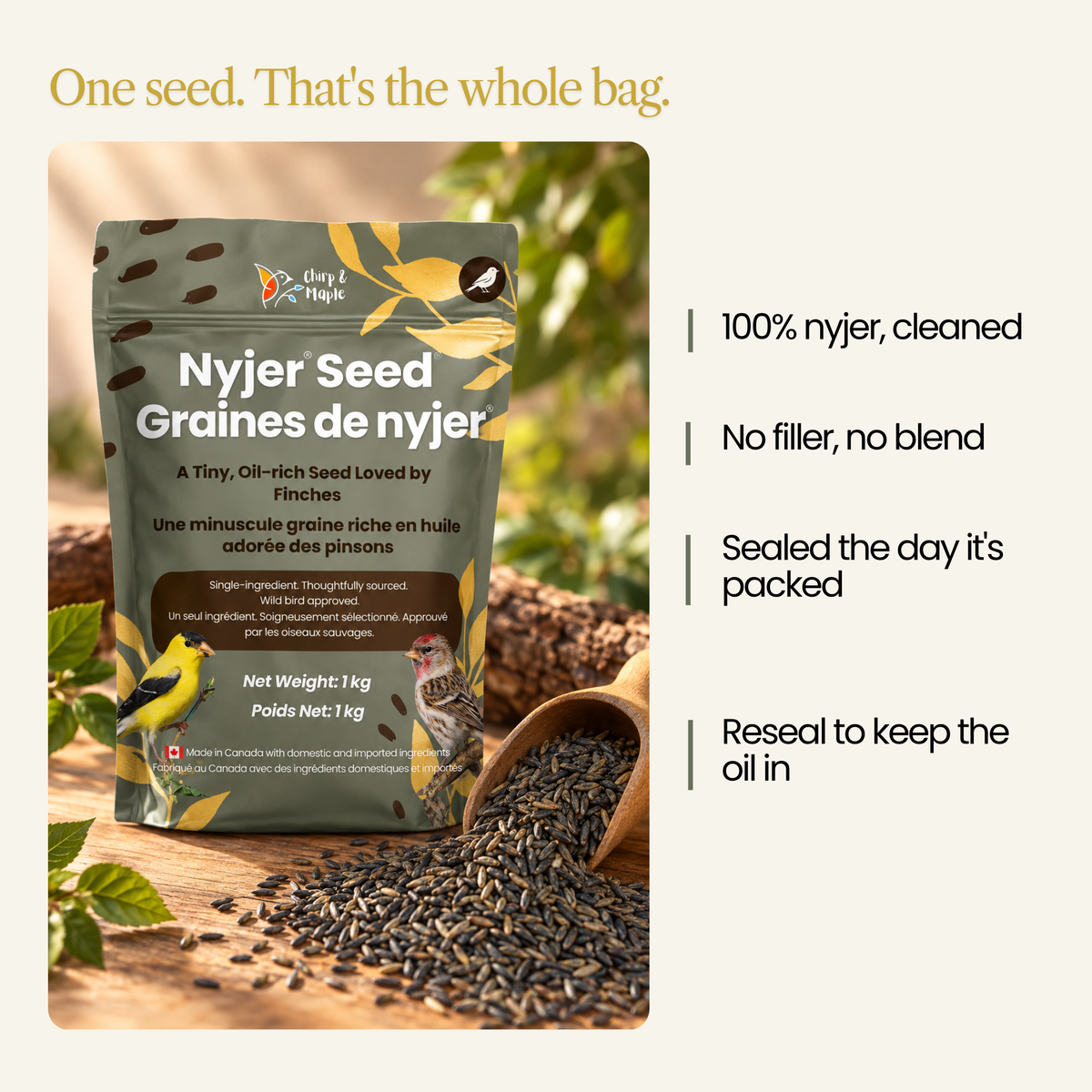 Nyjer Seed for Finches & Songbirds – Oil-Rich, 100% Pure Thistle Seed