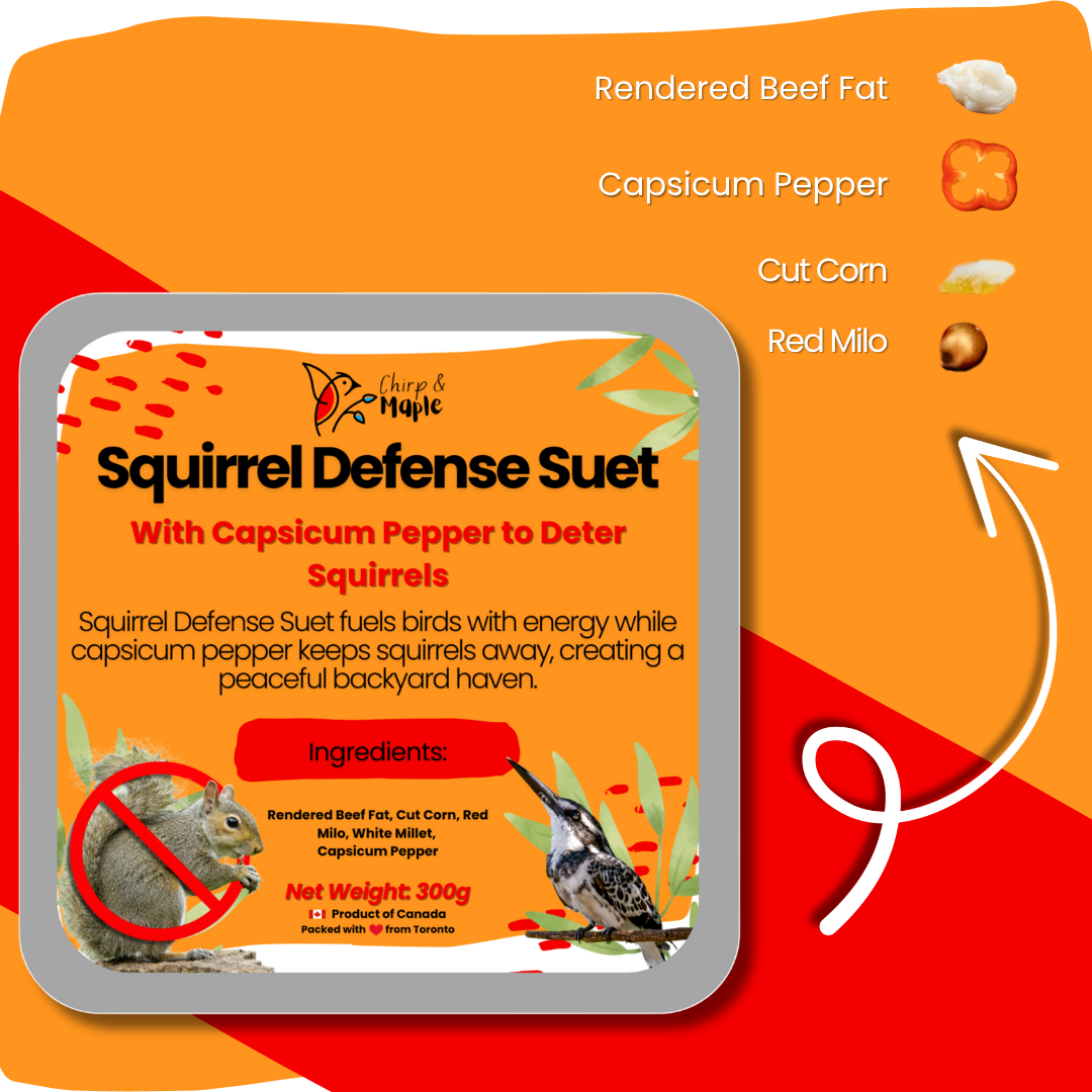 Squirrel Defense Suet